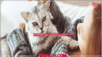 إستشاري سعودي يكشف سبب داء القطط المنتشر لدي الكثير من نساء المملكة
