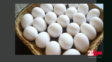 لن تصدق ما تأكله “إعادة تدوير البيض”.. أمانة جدة تضبط 75 ألف بيضه فاسدة بالفيصلية