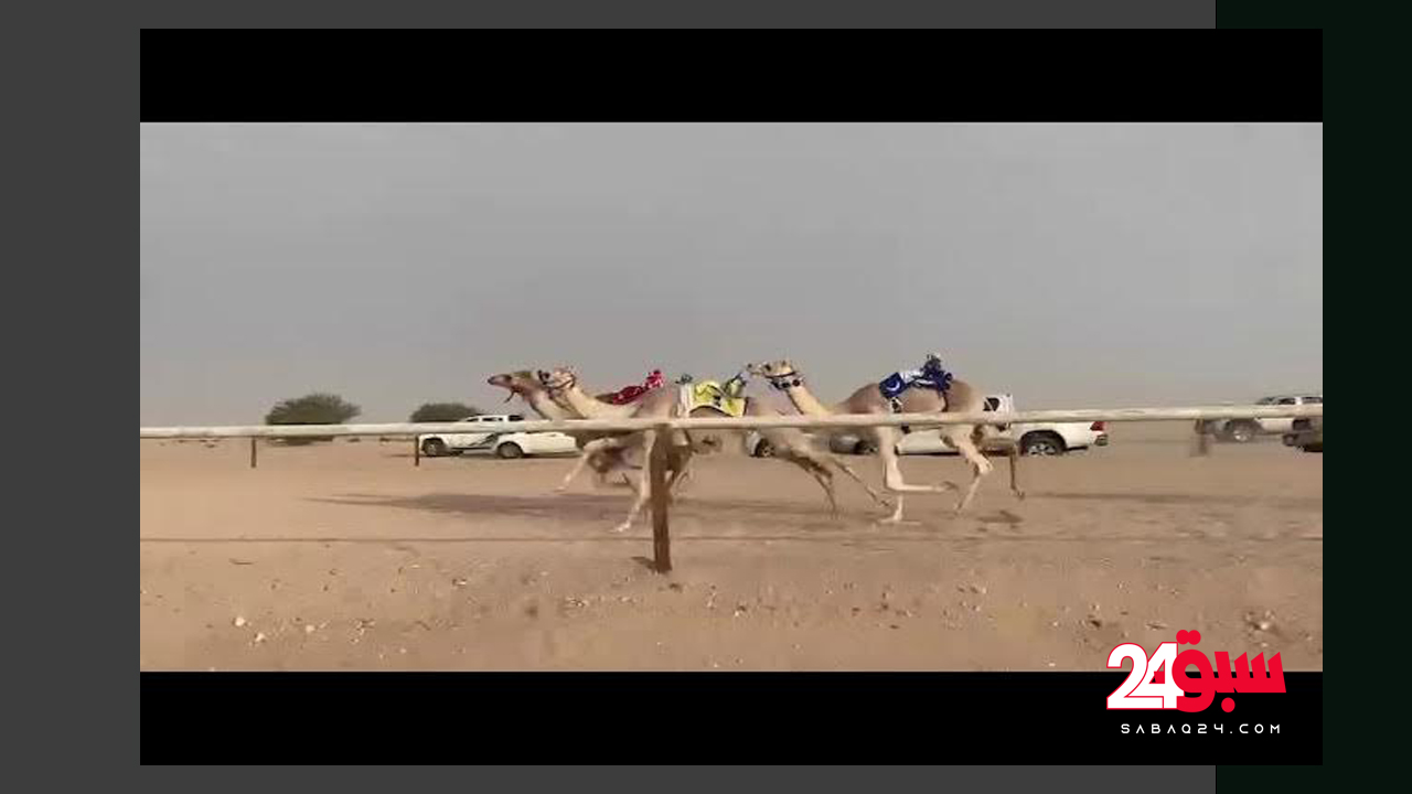بالفيديو “طاحت”.. شاهد لحظة سقوط فتيات من أعلي ظهر الجمل في سباق الهجن بالعلا